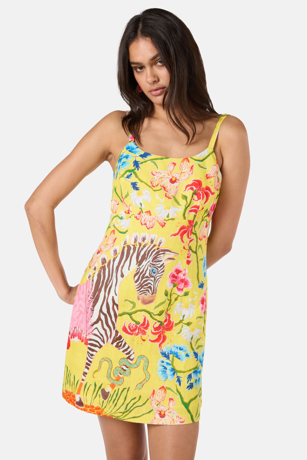 Gorman NZ - Zebra Crossing Mini Dress - print