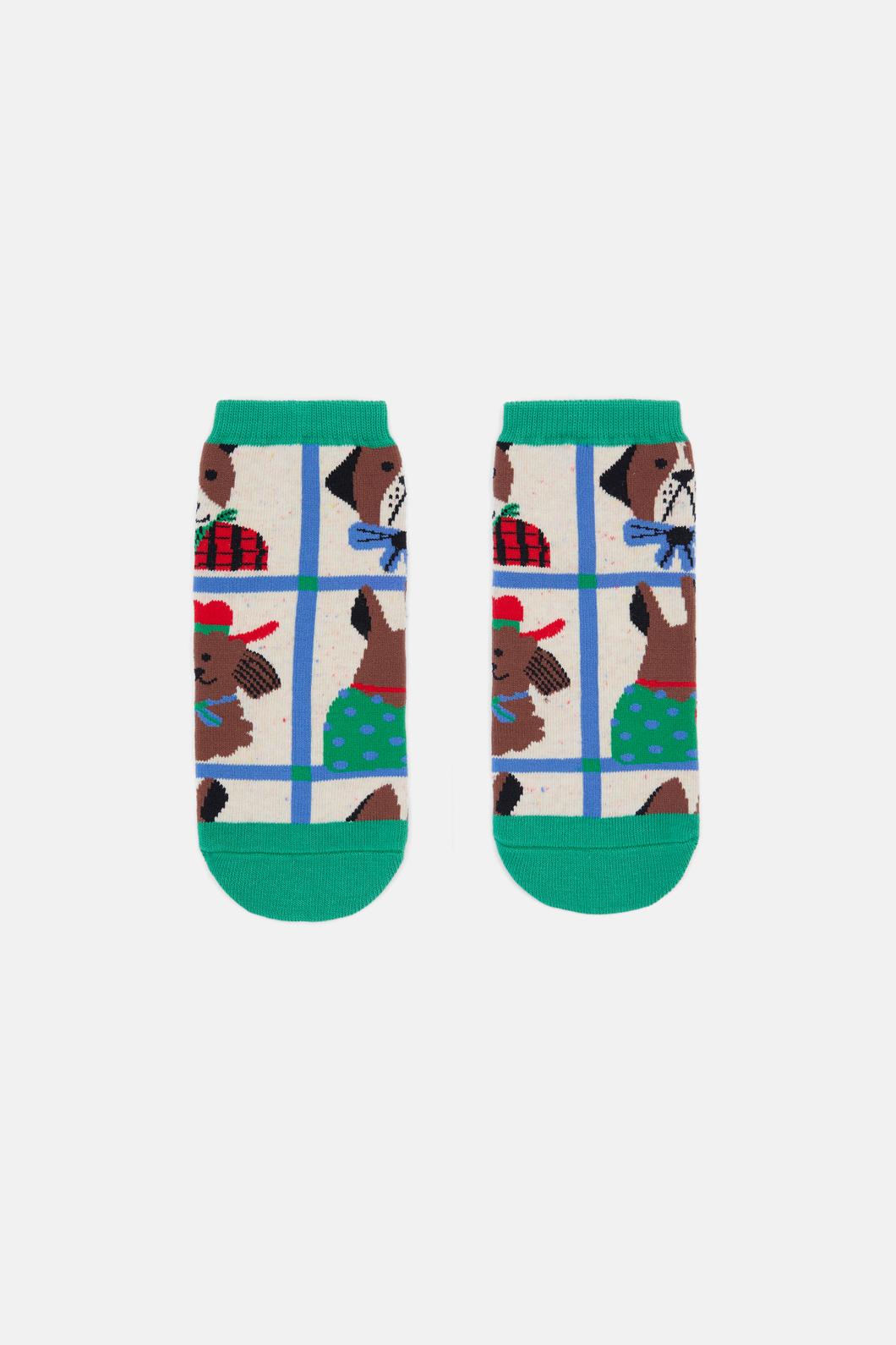 multi