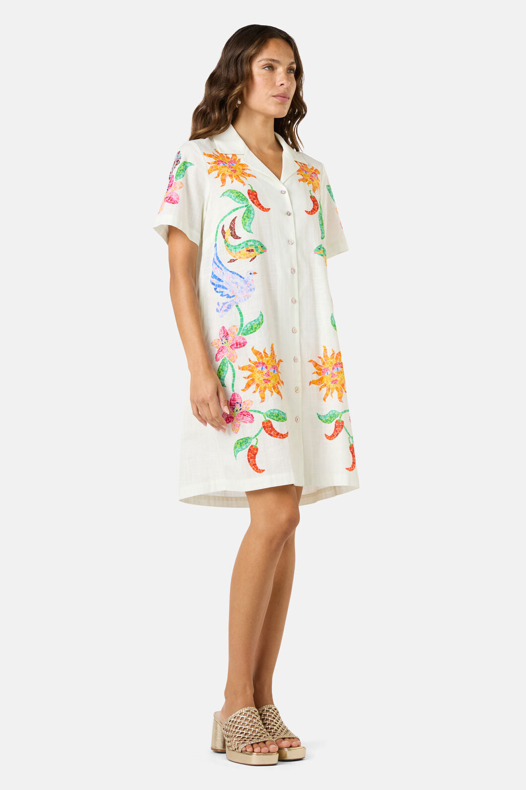 Gorman NZ - Mosaic Mile Cotton Shirt Dress - print
