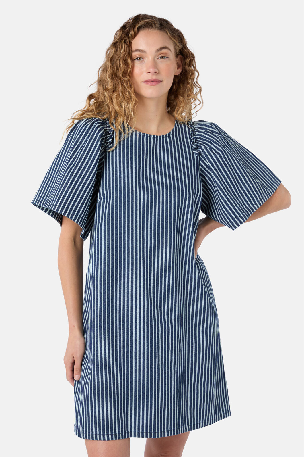 Gorman NZ - Stripe Life Denim Dress - stripe