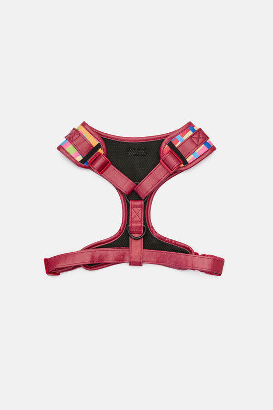 Gorman NZ - Stardom Dog Harness Large - print