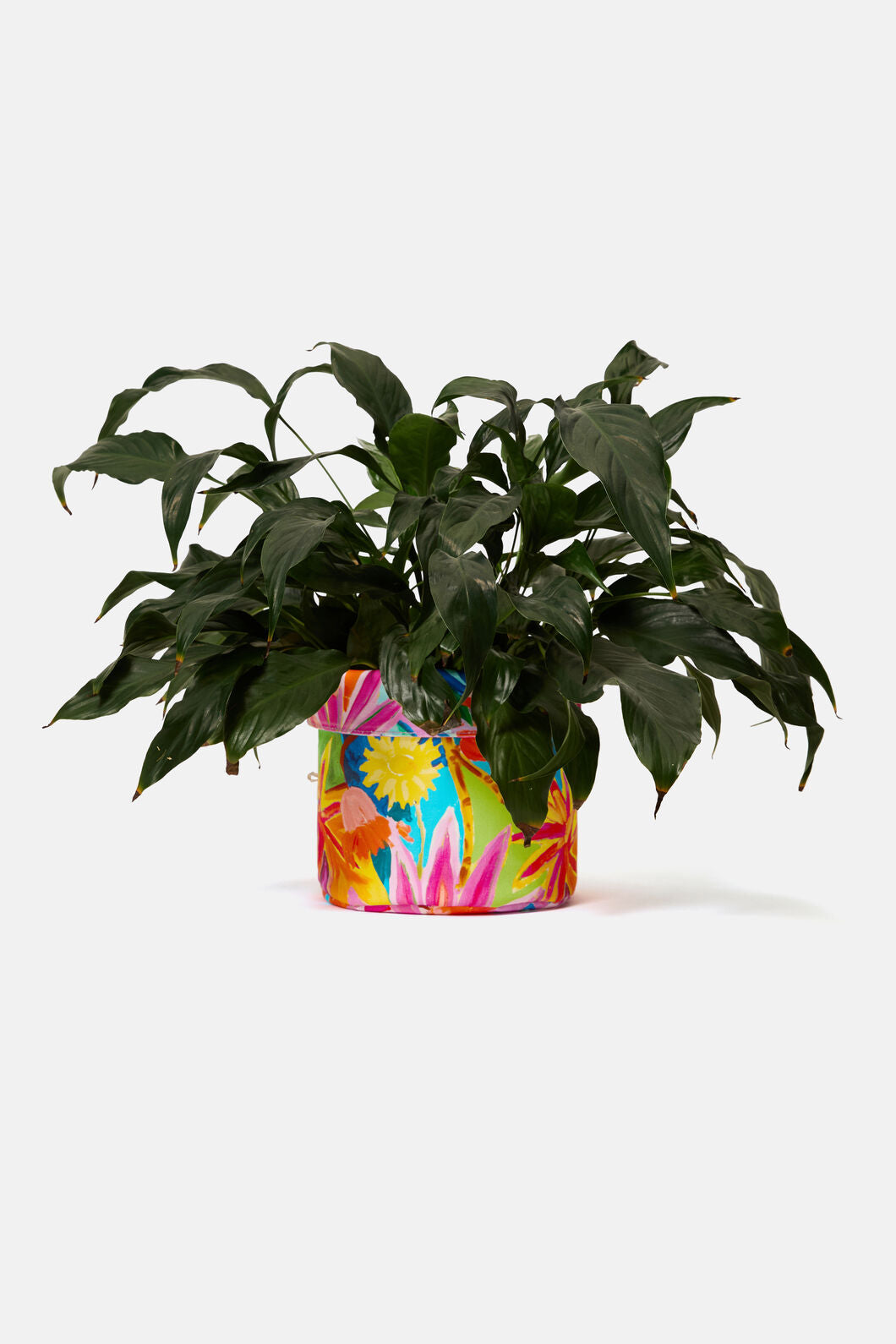 Gorman NZ - Celebrate Tub Lge - print