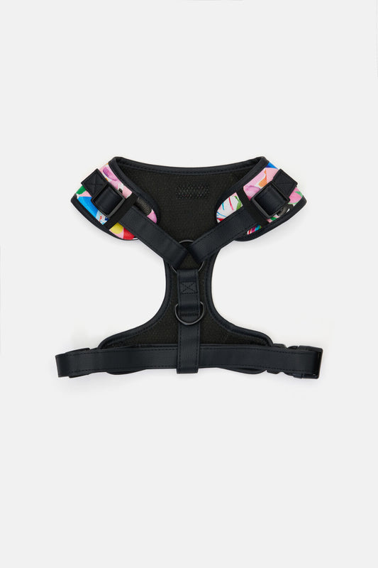 Gorman NZ - Montage Pet Harness Large - print