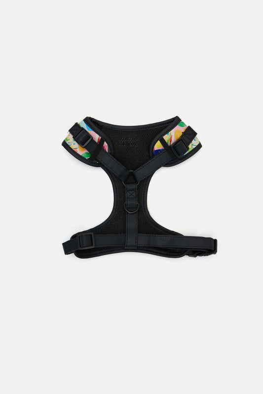 Gorman NZ - Montage Pet Harness Med - print