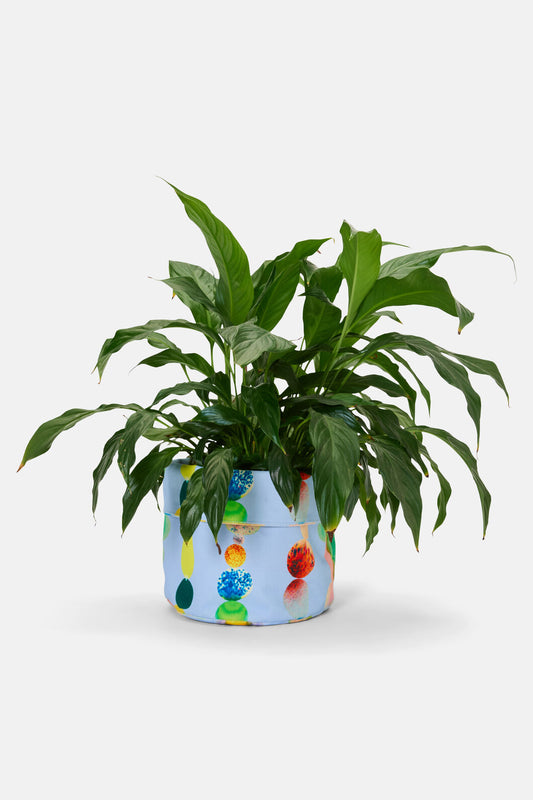 Gorman NZ - Rainbow Drops Tub Large - print