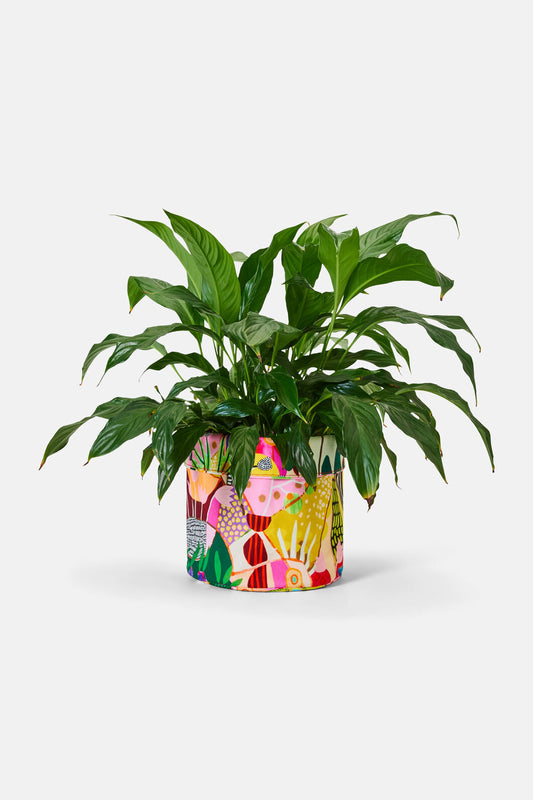 Gorman NZ - Lola's House Tub Large - print