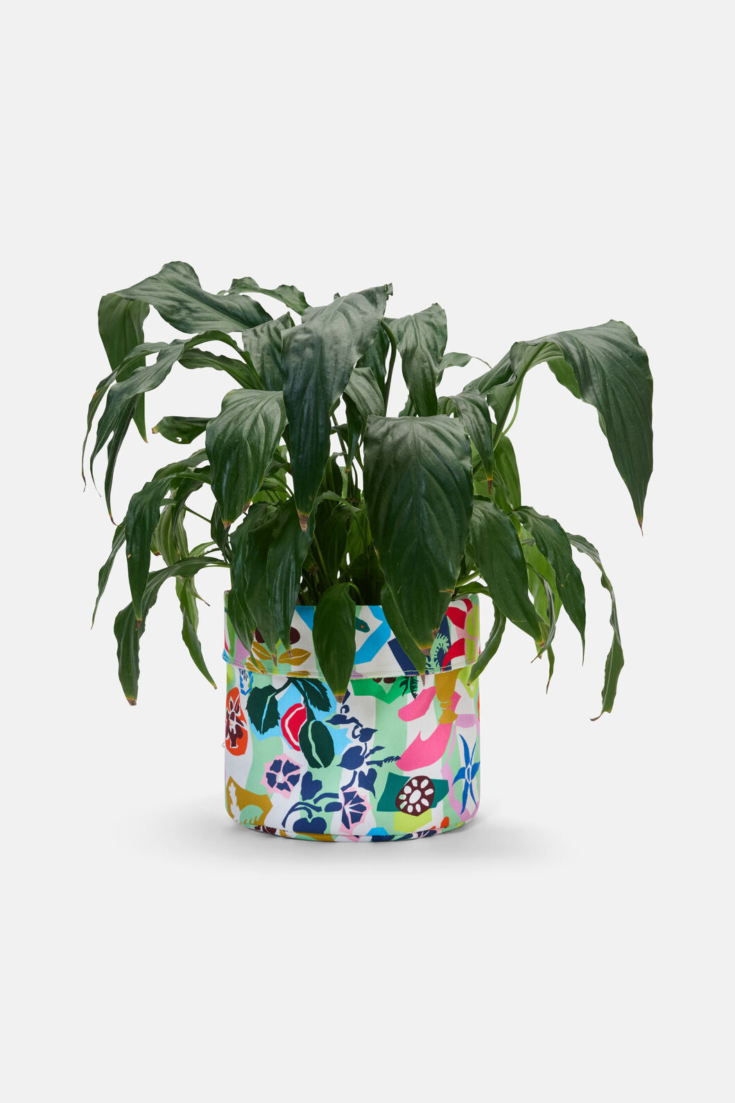 Gorman NZ - Garden Fiesta Planter Lge - print