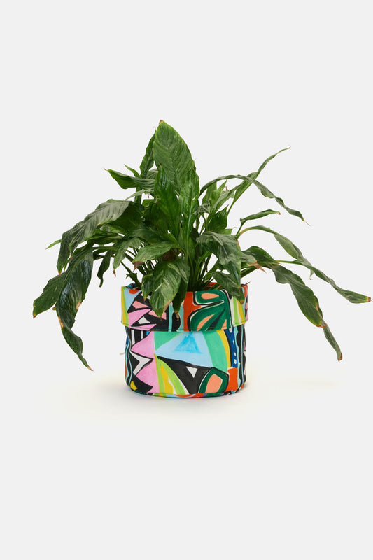 Gorman NZ - Zebra Concepts Planter Large - print