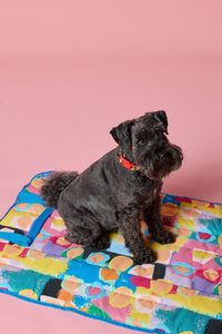 Gorman NZ - Peach Eclipse Pet Travel Bed - print