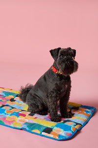 Gorman NZ - Peach Eclipse Pet Travel Bed - print