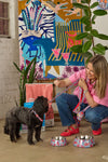 Gorman NZ - Lobster Pet Harness Sml - print