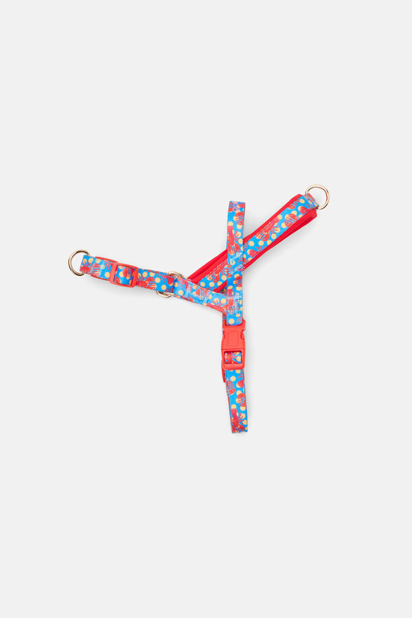 Gorman NZ - Lobster Pet Harness Sml - print