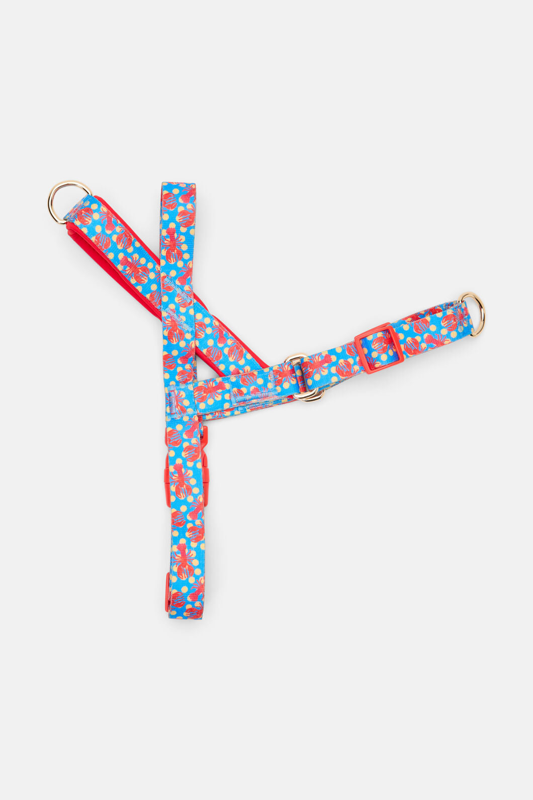 Gorman NZ - Lobster Pet Harness Lge - print