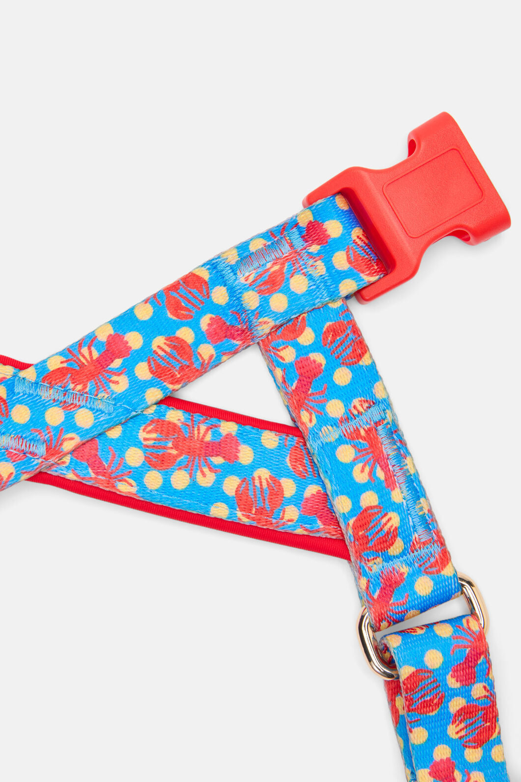 Gorman NZ - Lobster Pet Harness Lge - print