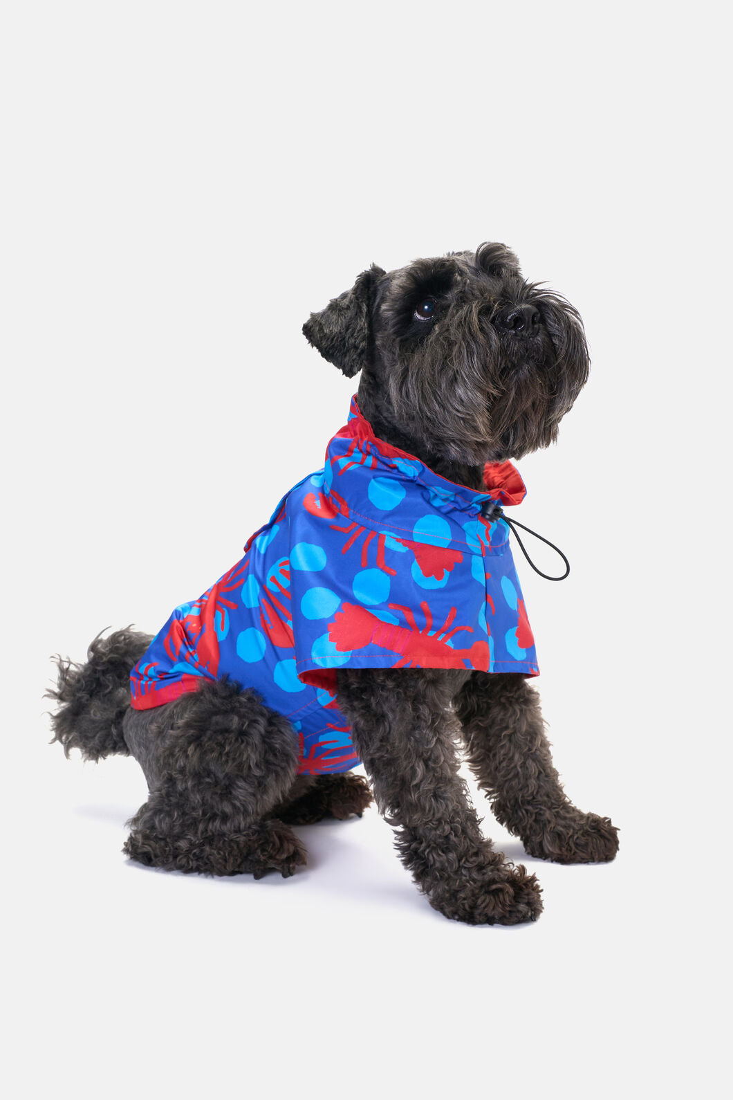 Gorman NZ - Lobster Pet Raincoat - print
