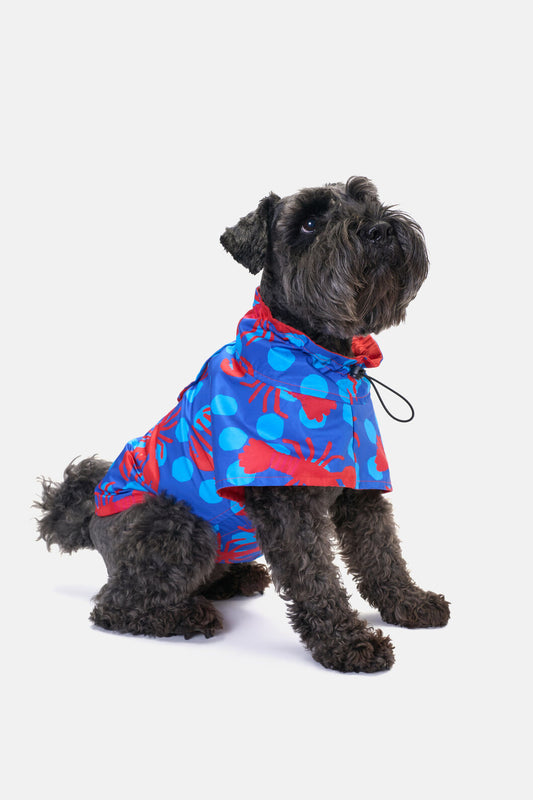 Gorman NZ - Lobster Pet Raincoat - print