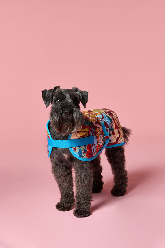 Gorman NZ - Living Tapestry Rust Quilted Pet Coat - print