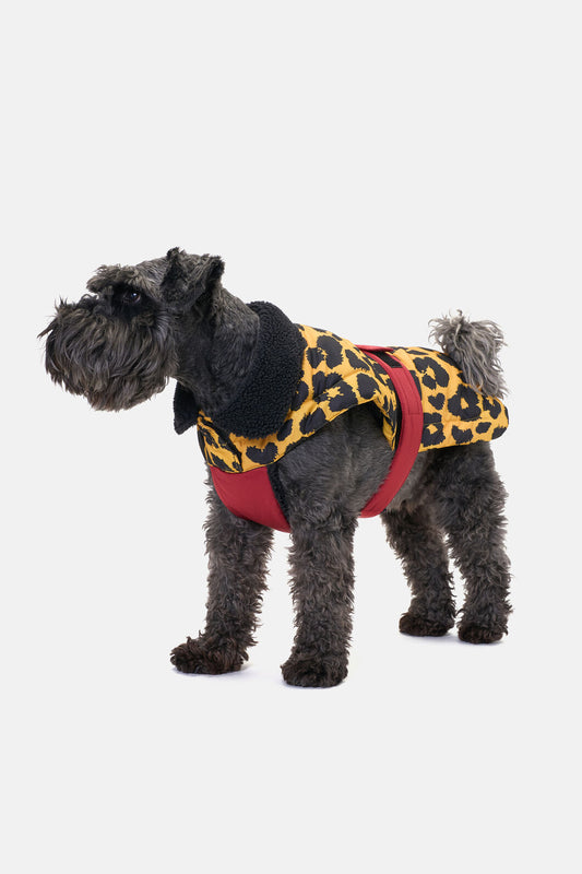 Gorman NZ - Leopard Dog Puffer Coat - print