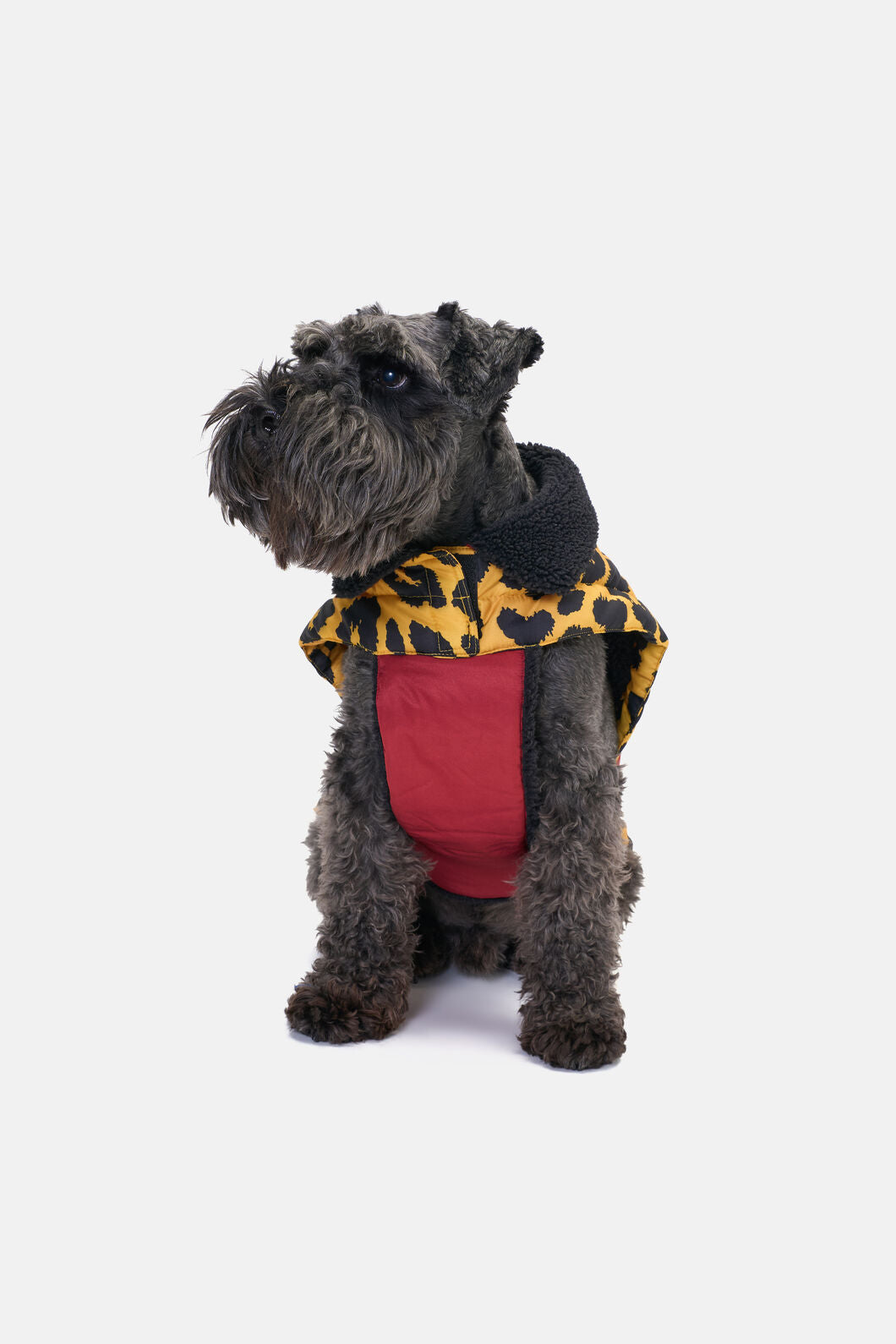 Gorman NZ - Leopard Dog Puffer Coat - print