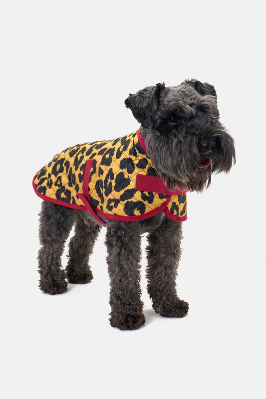 Gorman NZ - Leopard Quilted Dog Coat - print