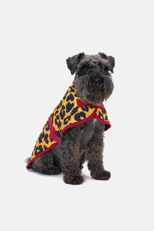Gorman NZ - Leopard Quilted Dog Coat - print