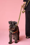 Gorman NZ - Leopard Hands-Free Dog Leash - print
