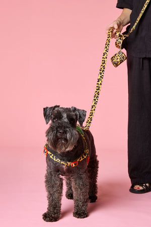 Gorman NZ - Leopard Hands-Free Dog Leash - print