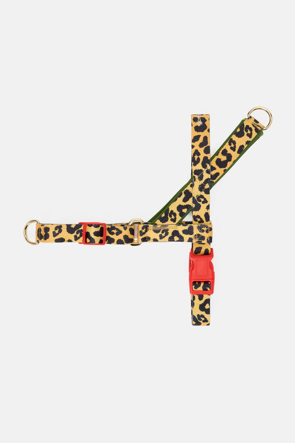 Gorman NZ - Leopard Dog Harness - print
