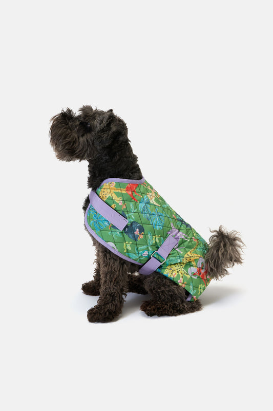 Gorman NZ - Orchid Safari Quilted Dog Coat - print