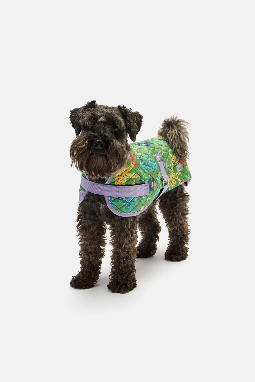Gorman NZ - Orchid Safari Quilted Dog Coat - print