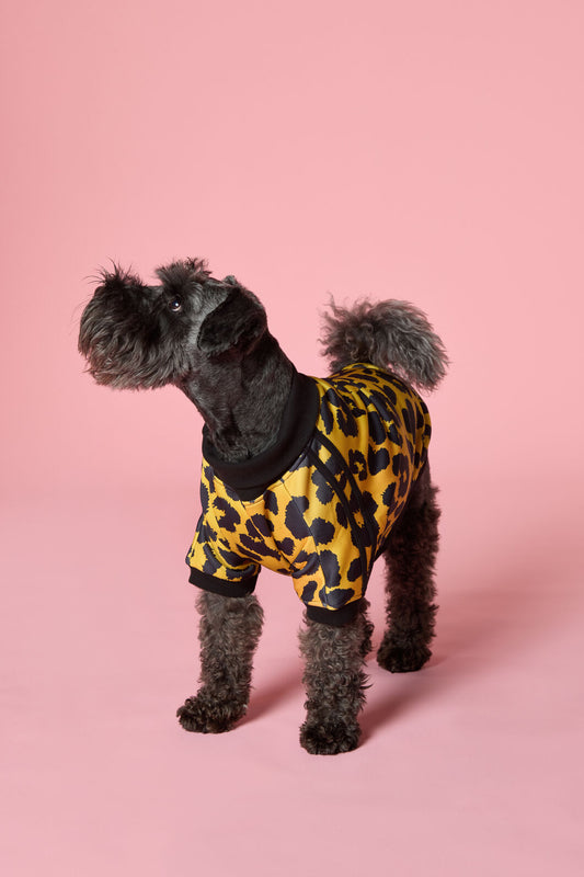 Gorman NZ - Leopard Terry Pet Jumper - multi