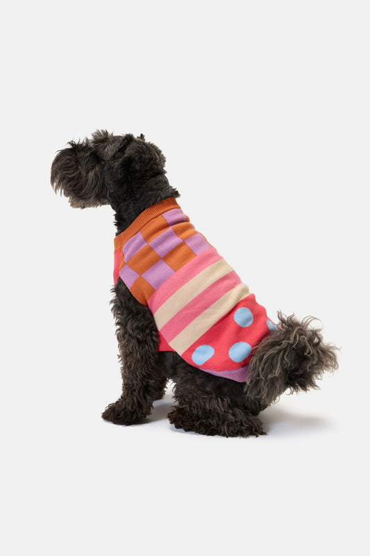 Gorman NZ - Pattern Party Knitted Dog Jumper - multi