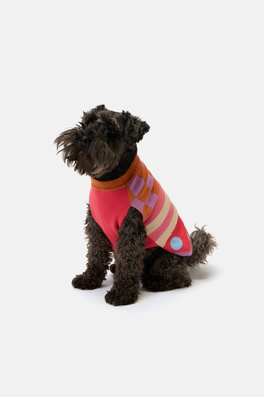 Gorman NZ - Pattern Party Knitted Dog Jumper - multi