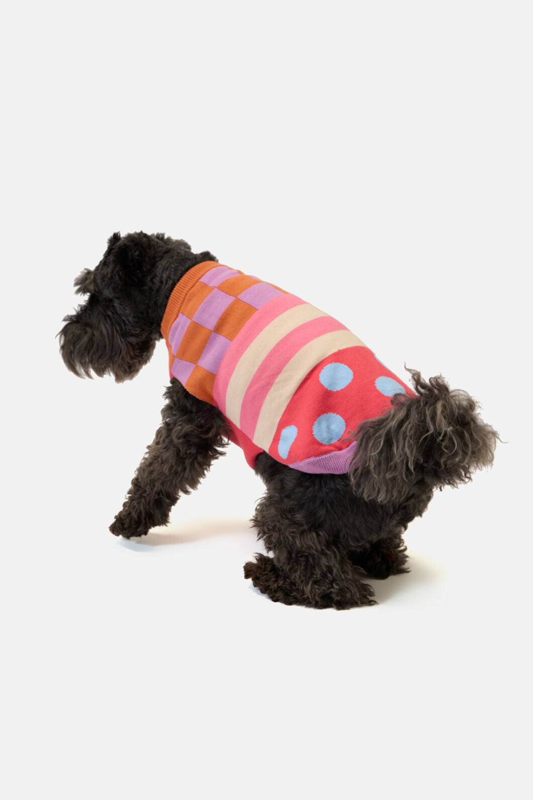 Gorman NZ - Pattern Party KnittedDogJumper - multi