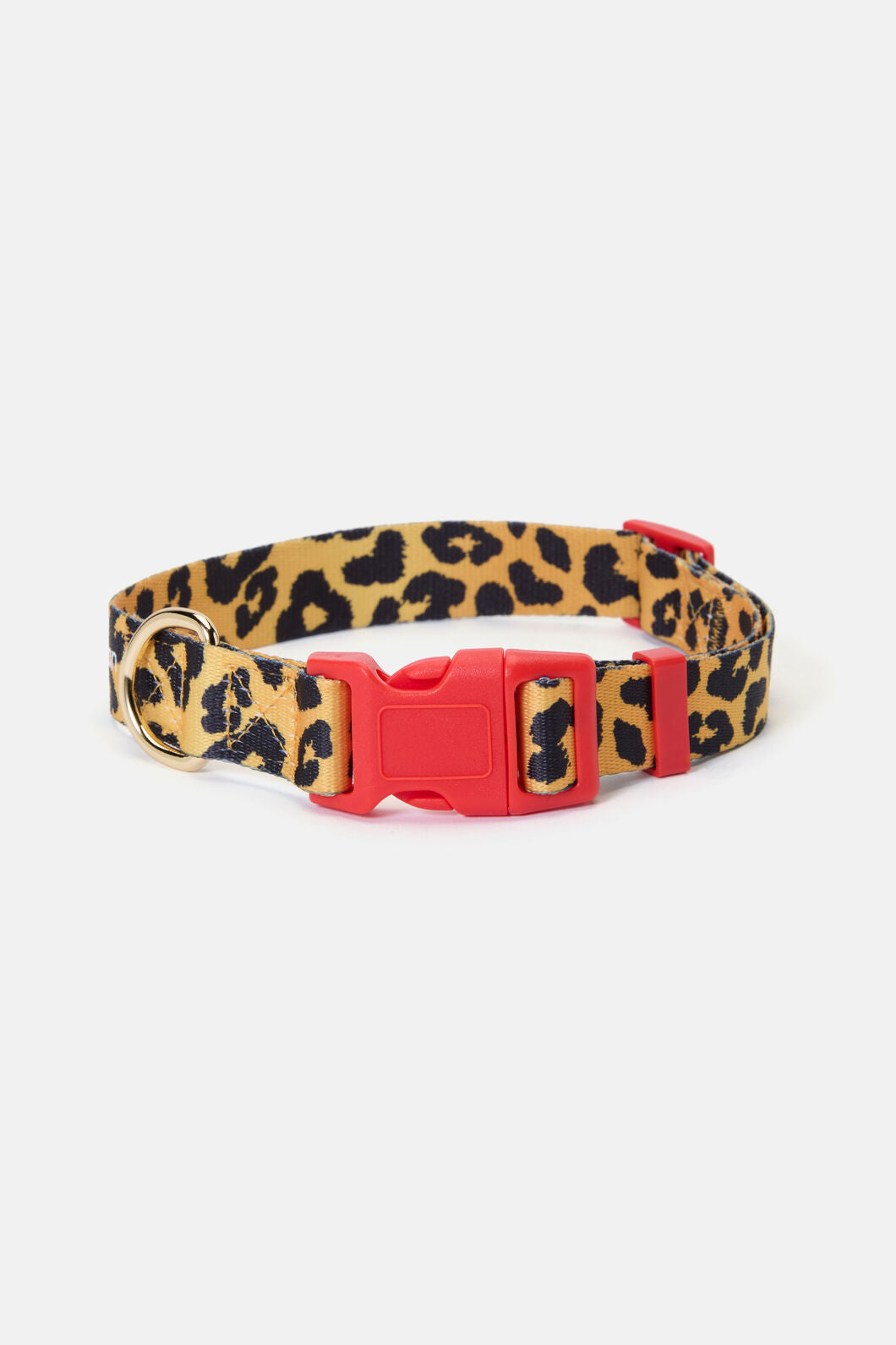 Gorman NZ - Leopard Dog Collar Lge - print