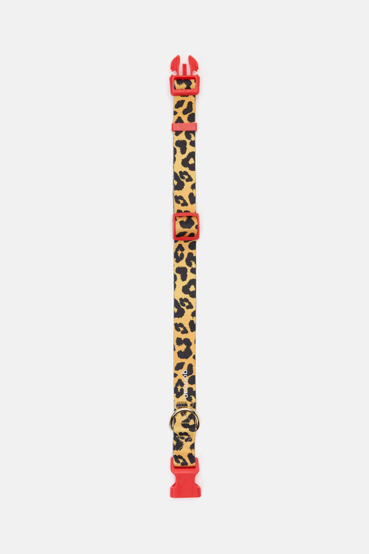 Gorman NZ - Leopard Dog Collar Lge - print