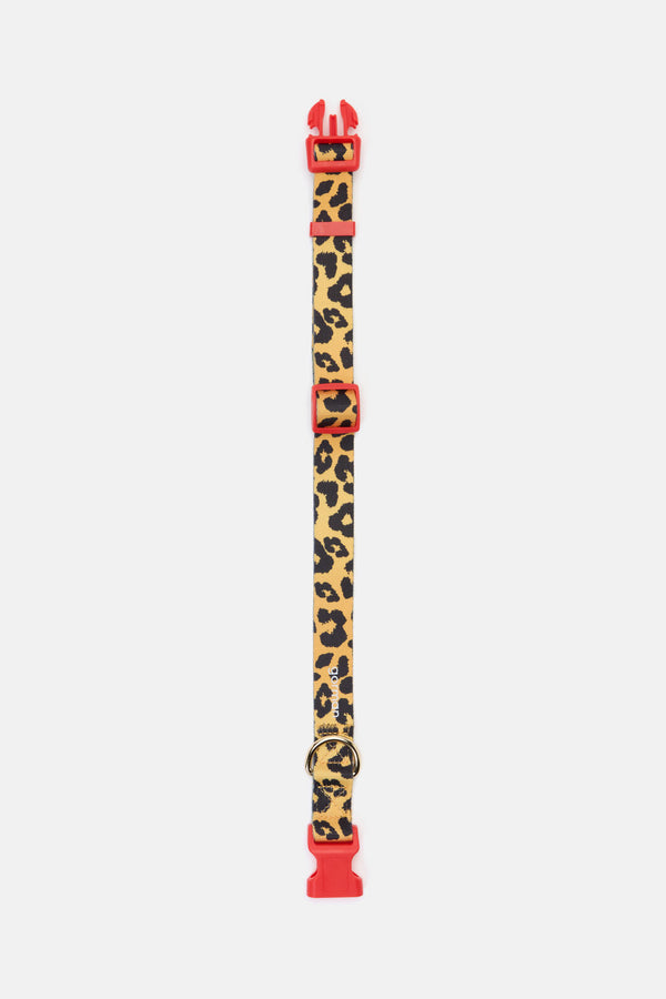Gorman NZ - Leopard Dog Collar Lge - print