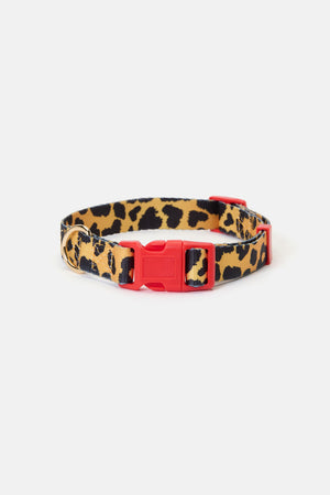 Gorman NZ - Leopard Dog Collar Sml - print