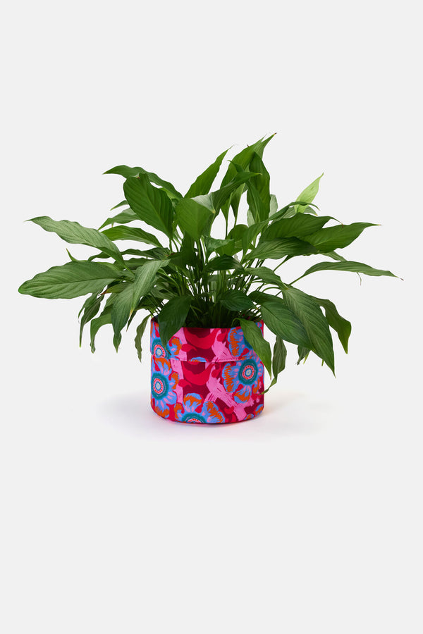 Gorman NZ - Tiger Flower Planter Large - print