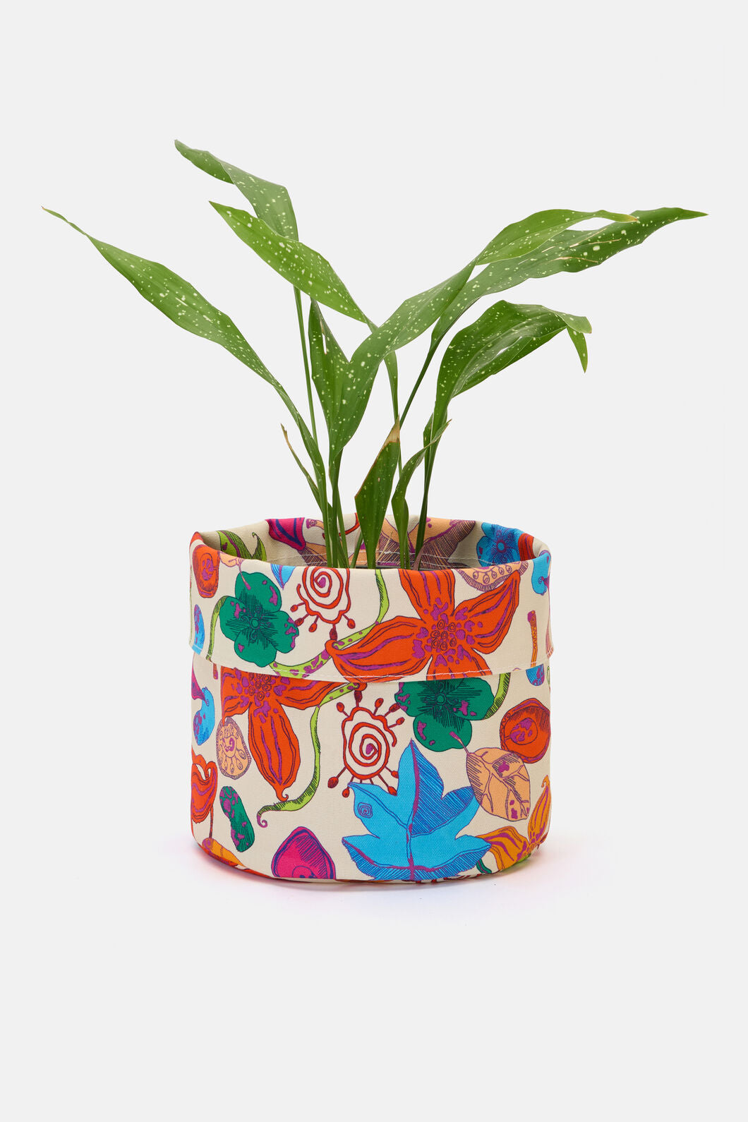 Gorman NZ - Pop Botanical Planter Large - print