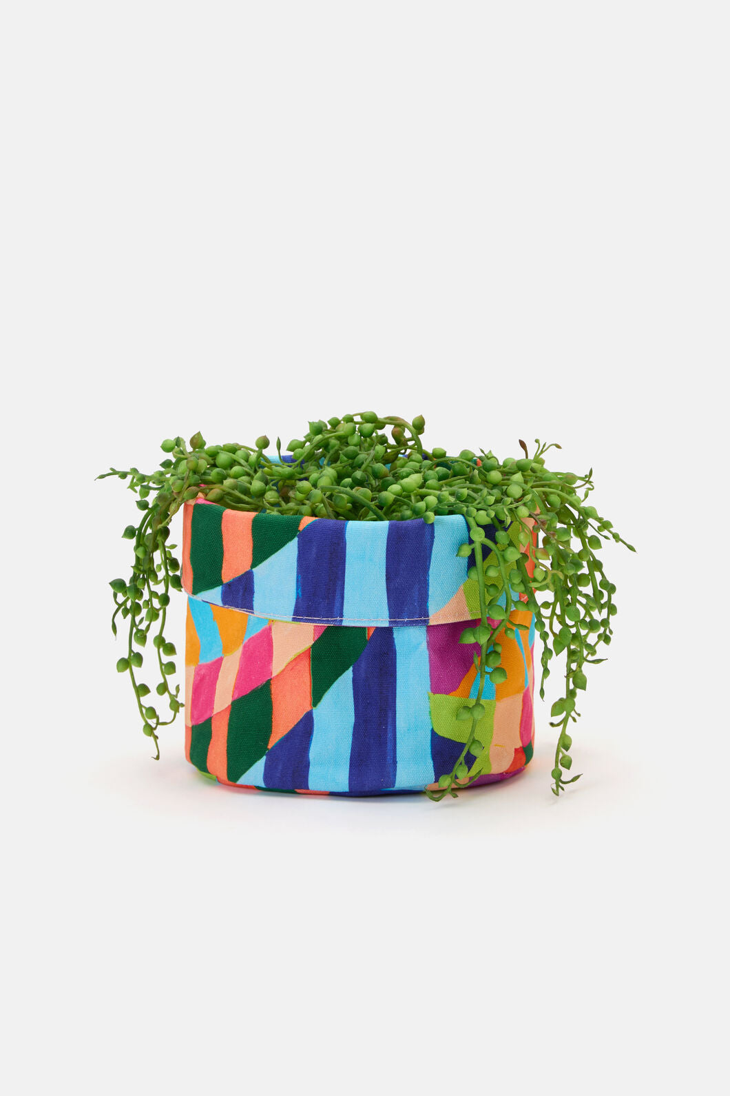 Gorman NZ - Pop Botanical Planter Small - print
