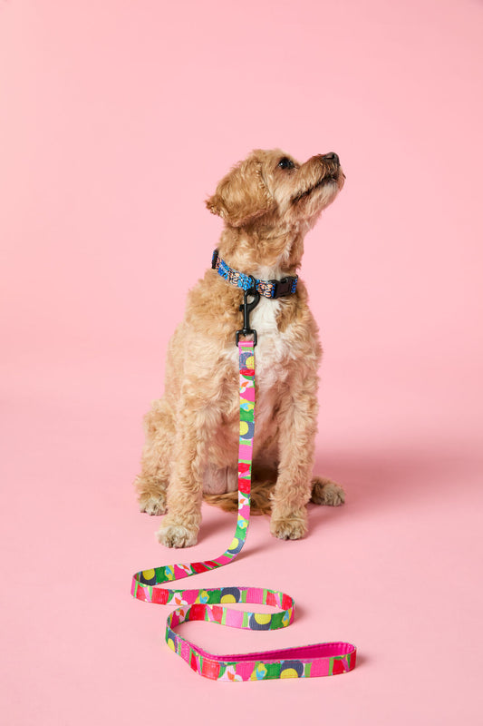 Gorman NZ - Parrot Party Lead S - print