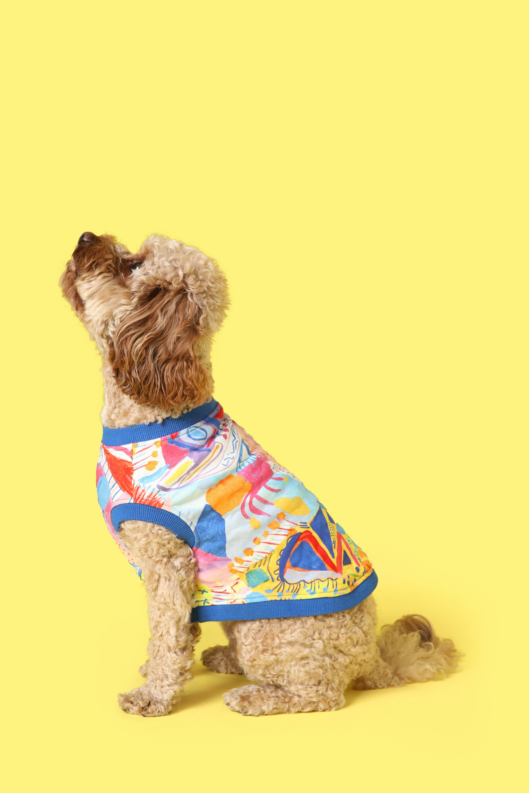Gorman NZ - Aquatic Pet Jumper - print