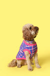 Gorman NZ - Reflection Pet Jumper - print