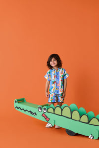 Gorman NZ - Lets Go Stripe Kids Shirt - multi