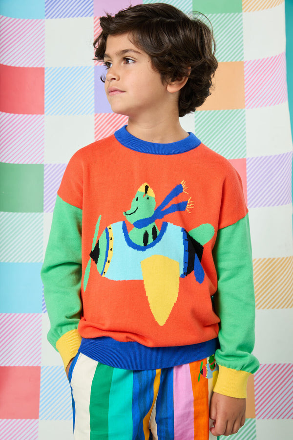 Gorman NZ - Flying Frogs Kids Knit - multi