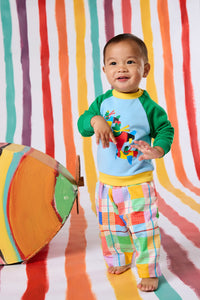 Gorman NZ - Froggies Baby Sweater - multi