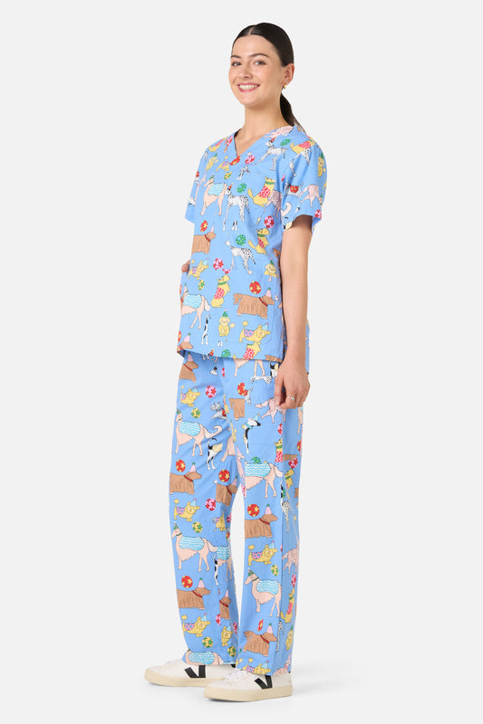 Gorman NZ - Dog Picnic Scrub Set - blue