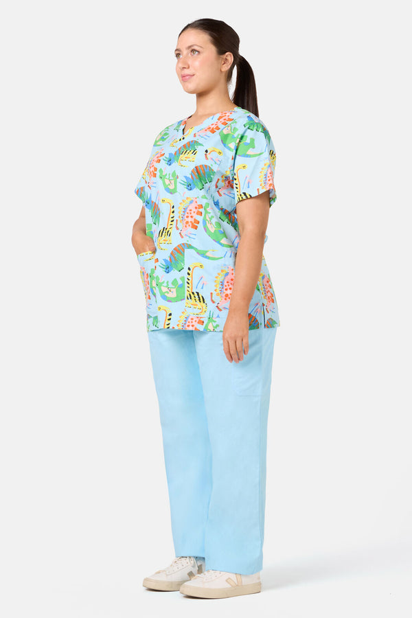 Gorman NZ - Dinoland Mixed Scrub Set - light-blue