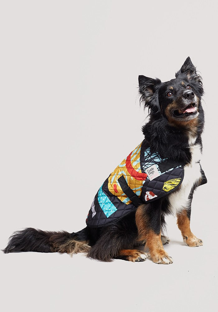 Guide Dogs Australia + Gorman – Gorman NZ